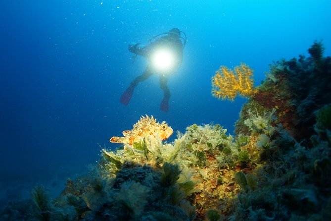 Diving day tour with 2 dives - Key points to know before booking