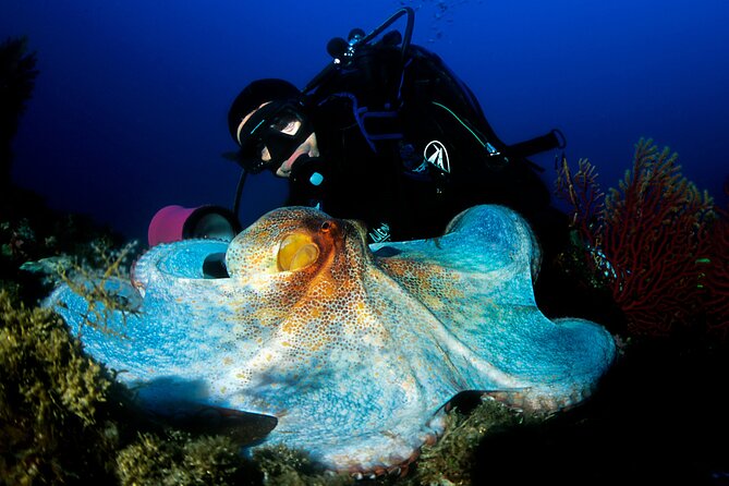 Diving day tour with 2 dives - The value of a five-person group