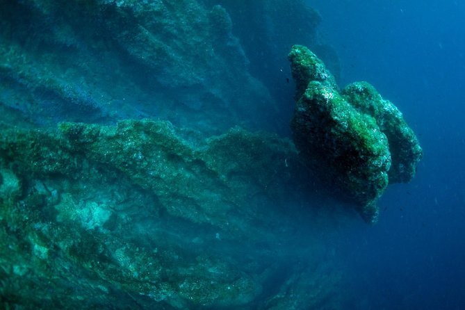 Diving day tour with 2 dives - Weather and the limits of a fixed plan