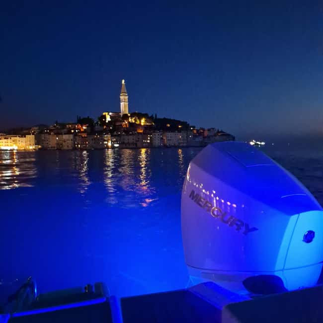 Dolphin private sunset tour Rovinj - Returning with Rovinj lights behind you
