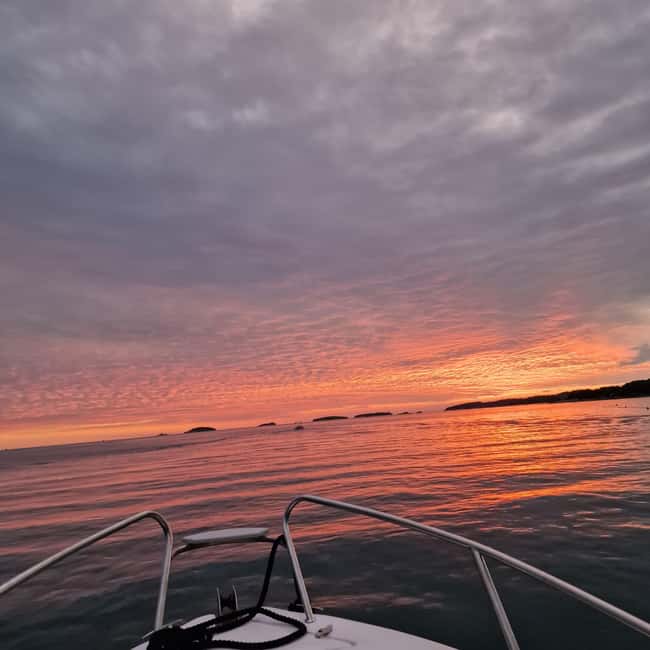 Dolphin private sunset tour Rovinj - Practical advice before you go