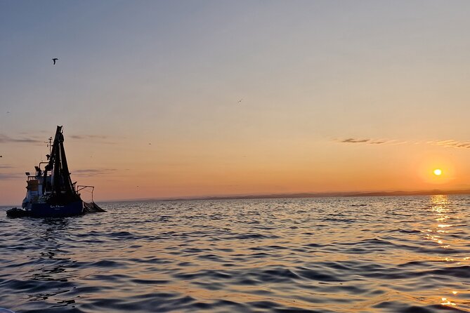 Dolphin Sunrise Adventure with Speedboat - The sunrise and the fishing fleet