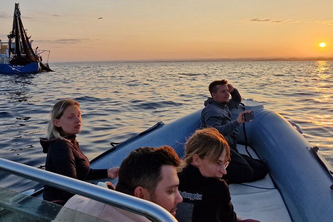 Dolphin Sunrise Adventure with Speedboat - A small group makes a practical difference