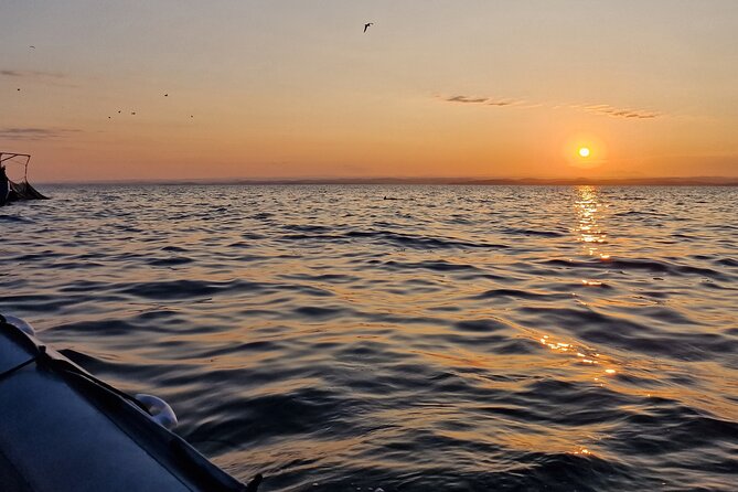 Dolphin Sunrise Adventure with Speedboat - The early wake-up is the main drawback