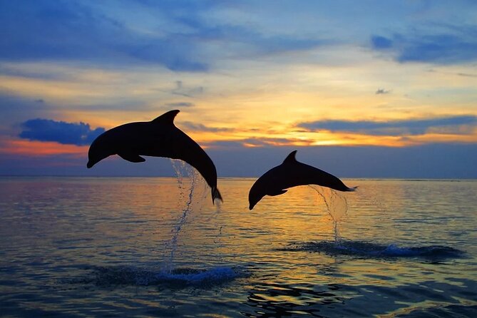 Dolphin Sunset Adventure with Speedboat - Sunset views add value to the ticket
