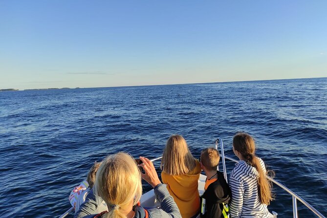 Dolphin Sunset Adventure with Speedboat - Shared boat or private experience?