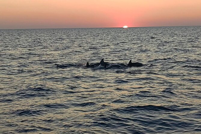 Dolphin & Sunset tour with Brijuni panorama - Sunset Timing and the Mood of the Cruise