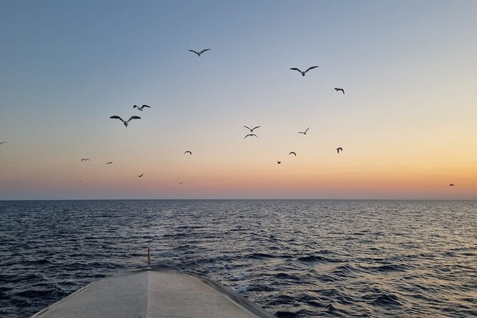 Dolphin & Sunset tour with Brijuni panorama - The Guide’s Commentary Adds Context