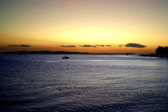 DOLPHIN WATCHING | Pula Boat - What the three-hour format means for you