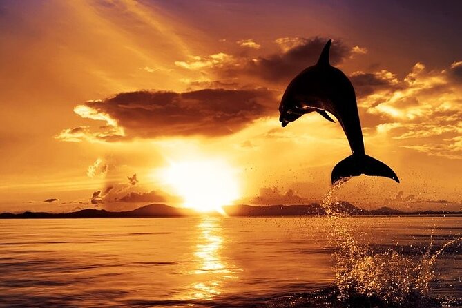 Dolphin Watching & Sunset Boat Tour With Dinner and Drinks - Crossing Pula Bay and Its Austro-Hungarian Forts