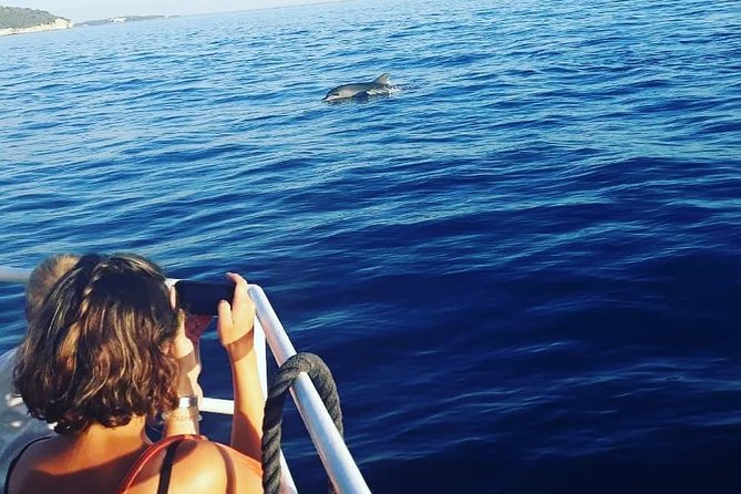 Dolphin Watching & Sunset Boat Tour With Dinner and Drinks - The Dolphin Search: What You Can Really Expect