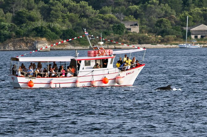 Dolphin Watching Sunset Boat Trip in Pula with Dinner - Searching for bottlenose dolphins around Brijuni