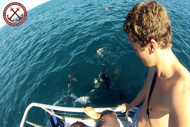 Dolphins Watching in the National Park Brijuni from Pula - Key points to know before booking