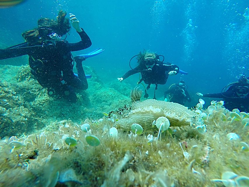 Dubrovnik: 1-Day Discover Scuba Diving Course - The briefing makes the first session less intimidating