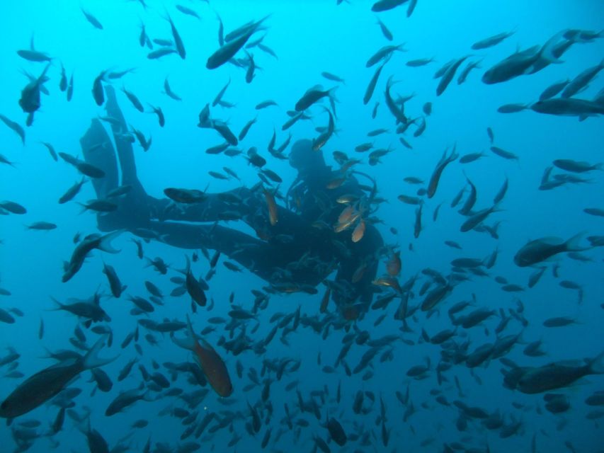Dubrovnik: 1-Day Diving Package - What your $164 day in Dubrovnik actually includes