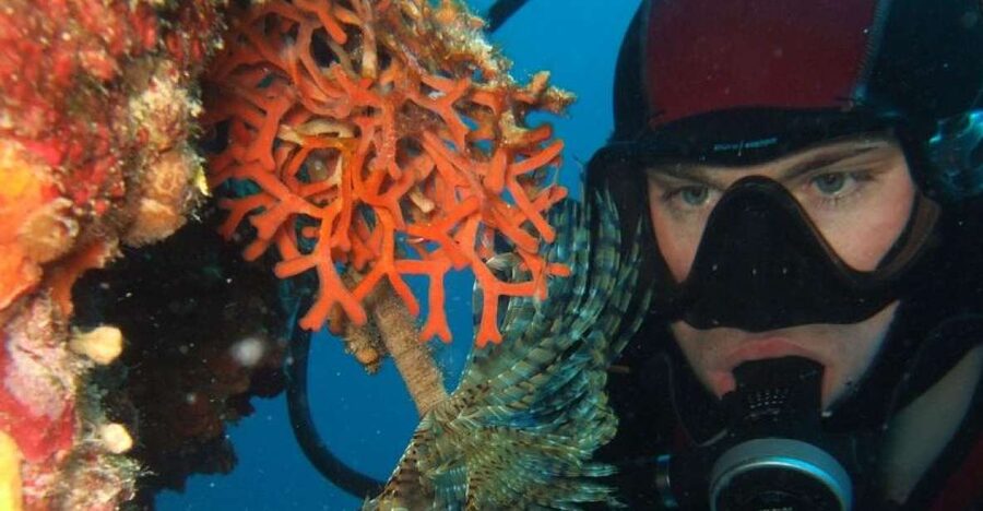 Dubrovnik: 1-Day Diving Package - Meeting at the Dubrovnik Palace hotel