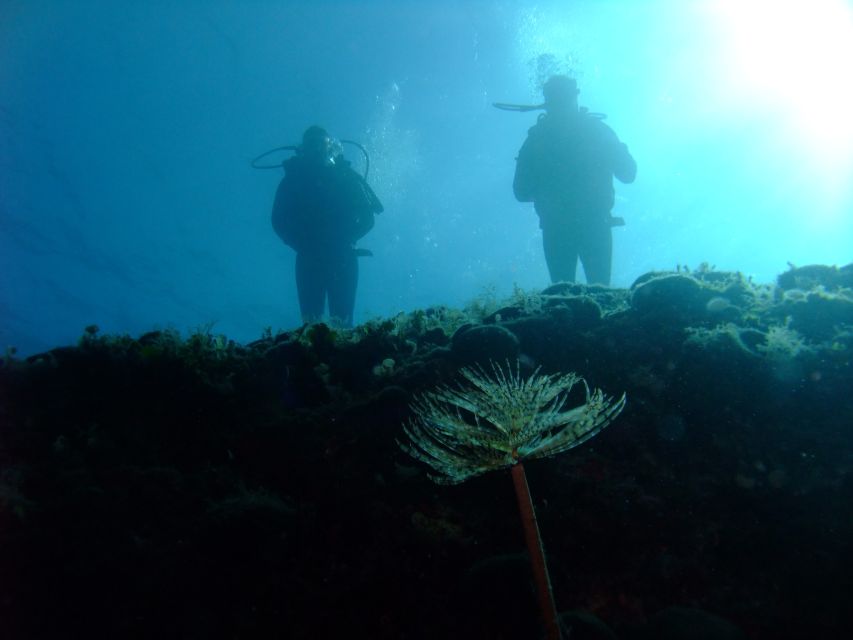 Dubrovnik: 1-Day Diving Package - The two-hour break and afternoon return