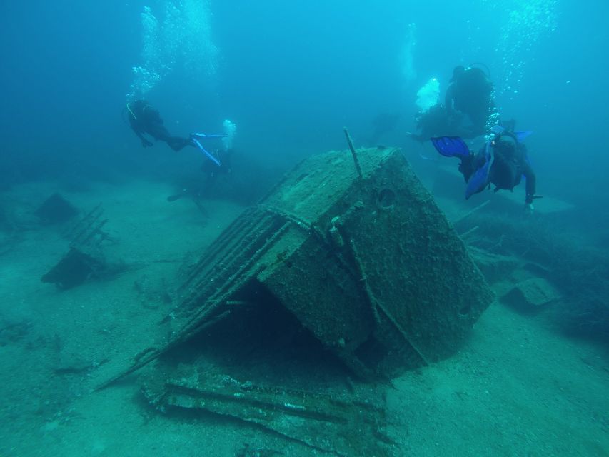 Dubrovnik: 1-Day Diving Package - Marine life and visibility around Dubrovnik