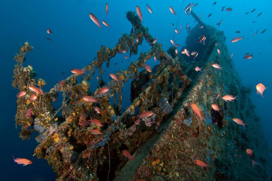 Dubrovnik: 1-Day Diving Package - The morning session from 10:00 to 12:15