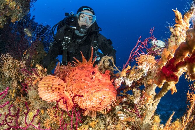 Dubrovnik 1 Dive for Certified Divers - The small group makes a practical difference