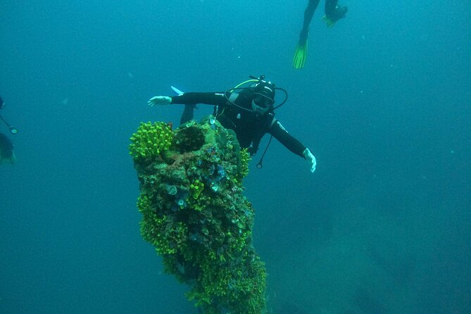 Dubrovnik 1 Dive for Certified Divers - Timing, weather, and cancellation details