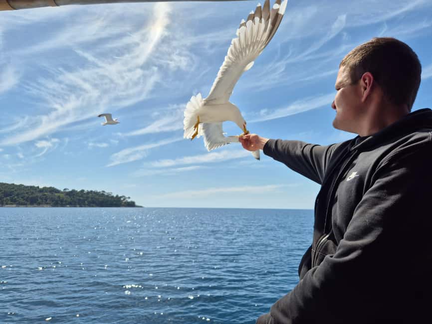 Dubrovnik: 3 Island Boat Tour with Lunch and Guide - Lopud: three hours for beaches, walking, and lunch