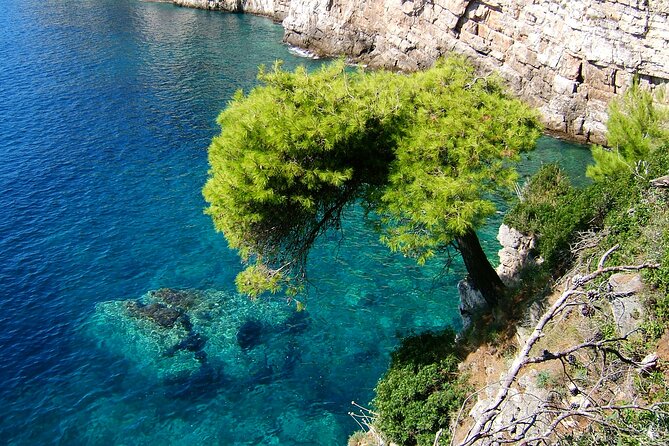 Dubrovnik: 3 Islands Boat Tour with Lunch & drinks(FR, ES, EN) - Who will enjoy this Dubrovnik island cruise?