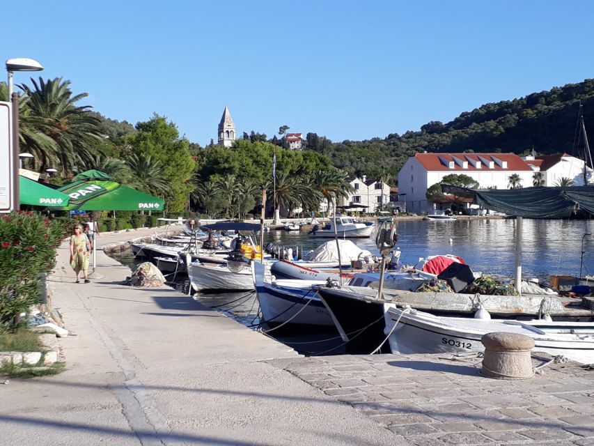Dubrovnik: All-inclusive Islands and Caves Private Boat Tour - Šunj Beach on Lopud is the easy family stop
