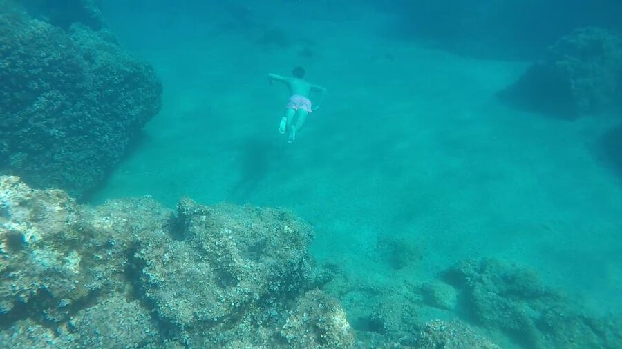 Dubrovnik: All-inclusive Islands and Caves Private Boat Tour - Who should book this Dubrovnik experience?