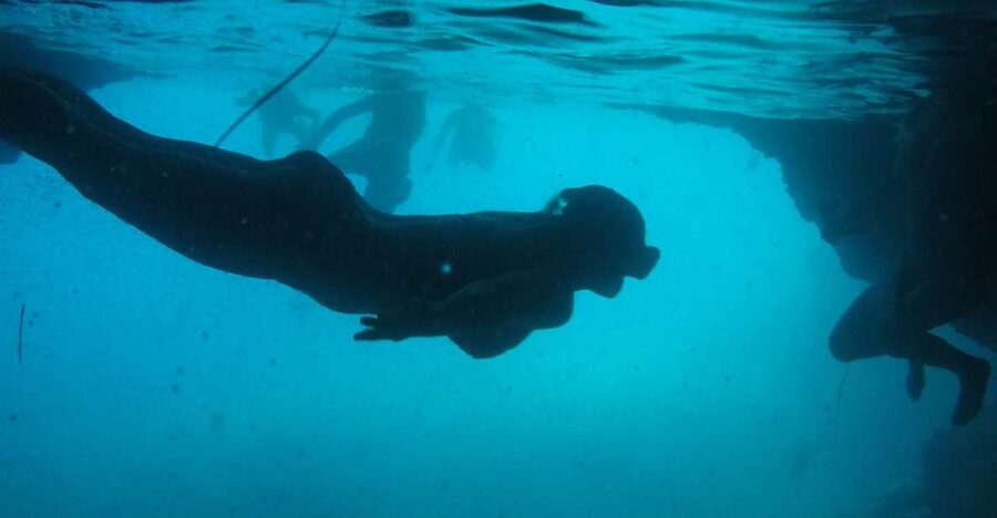 Dubrovnik: Blue Cave & Sunj Beach Boat Tour with Drinks - The Three Green Caves: the more active stop