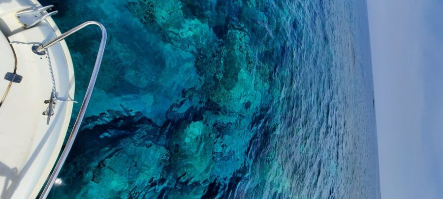 Dubrovnik: Blue Cave Tour by Speedboat - The Blue Cave at Koločep Island