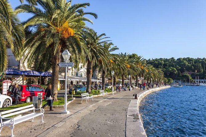Dubrovnik Coast and Cavtat Shore Excursion - The Ombla River spring is tiny but unusual