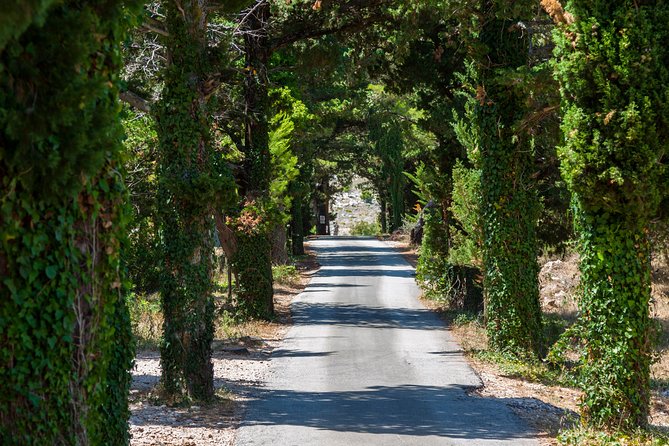 Dubrovnik Game of Thrones Driving Tour - What the guide adds beyond the show