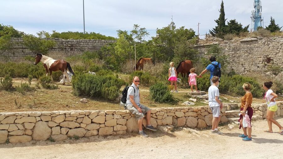 Dubrovnik: Game of Thrones Locations Driving Tour - Why Trsteno is the heart of the tour