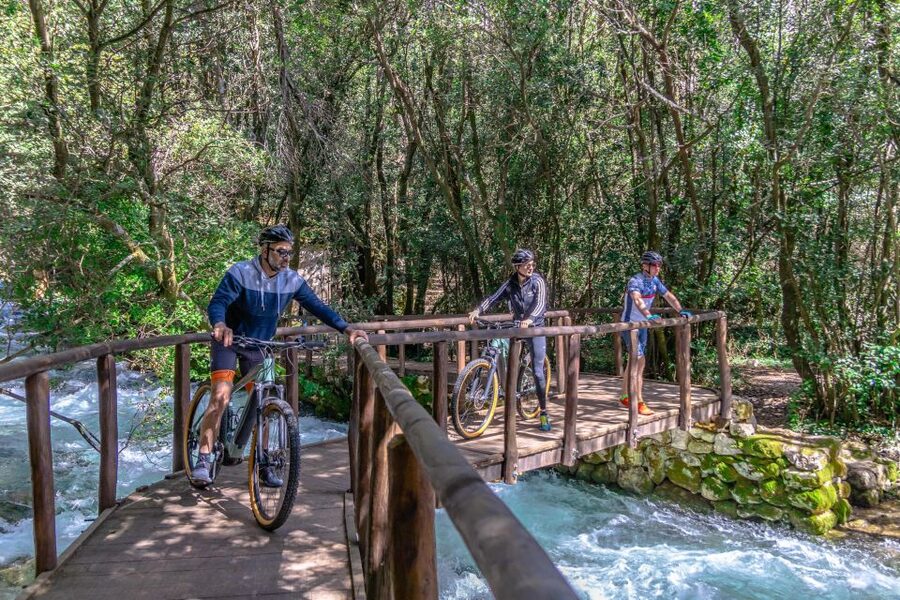 Dubrovnik Guided Private E-bike Tour - Copacabana Beach and the Lapad coast