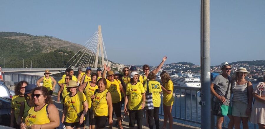 Dubrovnik: Guided Sightseeing Tour by Minivan - The Descent to Pile Gate