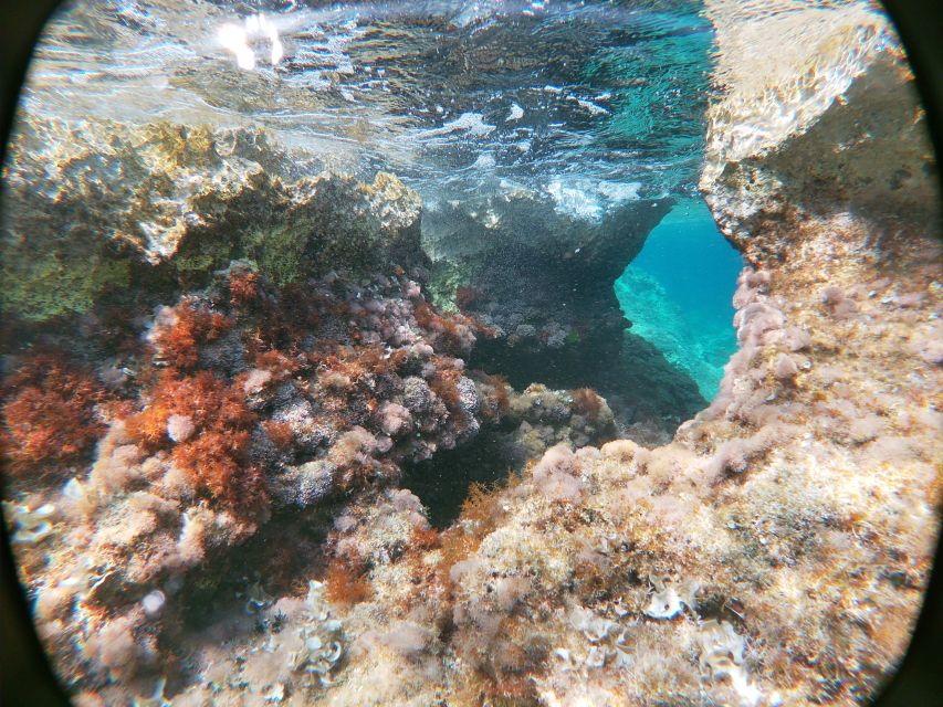 Dubrovnik: Half-Day Private Boat Trip to Elafiti Islands - Sunj Beach, Lopud’s natural sand