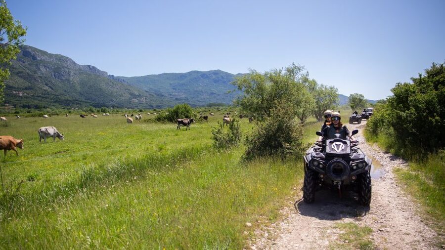 Dubrovnik: Kojan Koral ATV Quad Safari with transport - Who should book this Konavle ATV safari?