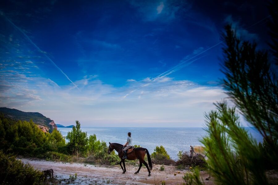 Dubrovnik Kojan Koral: Horseback Riding - Key points to know before you book
