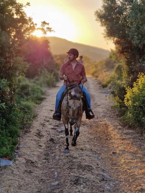 Dubrovnik Kojan Koral: Horseback Riding - Why the Konavle setting makes this ride special