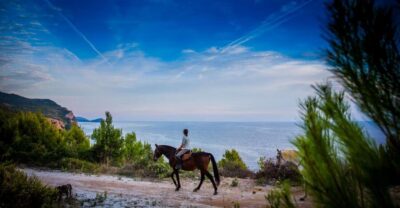 Dubrovnik Kojan Koral: Horseback Riding
