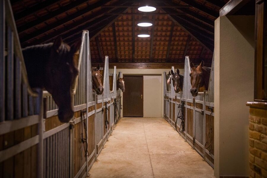 Dubrovnik Kojan Koral: Horseback Riding - Is the $164 price worth it?