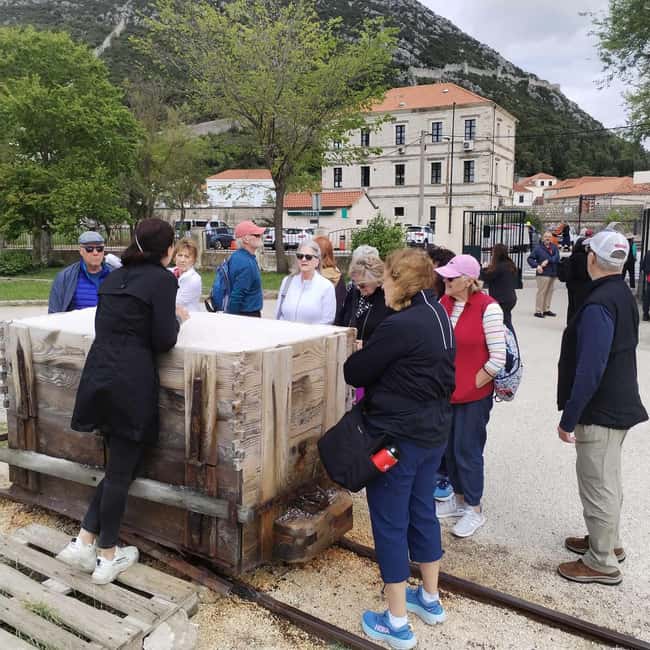 Dubrovnik: Oyster, Mussles, and Wine Tasting Tour in Ston - Who should book this Ston experience?