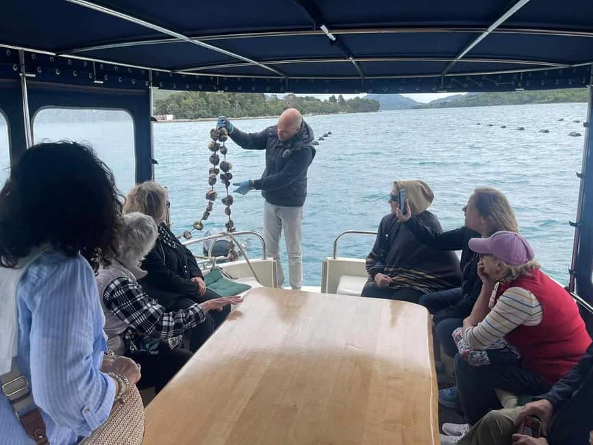 Dubrovnik: Oyster, Mussles, and Wine Tasting Tour in Ston - Pelješac wine in a family winery