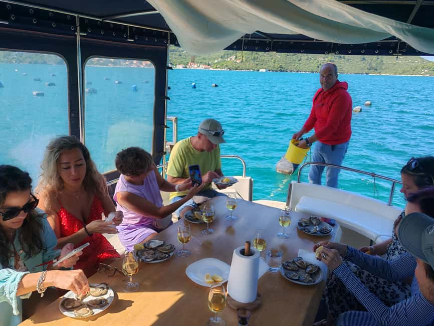 Dubrovnik: Oyster, Mussles, and Wine Tasting Tour in Ston - Group size, guides, and the feel of the day
