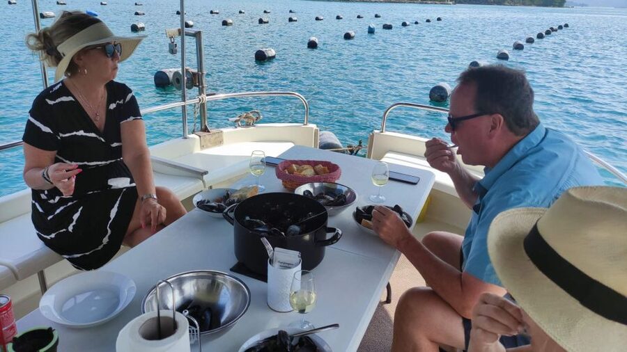 Dubrovnik: Oyster, Mussles, and Wine Tasting Tour in Ston - The drive from Dubrovnik to Ston