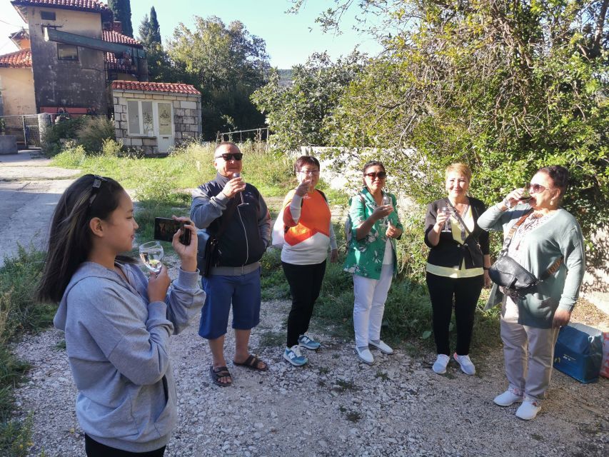 Dubrovnik: Panorama Tour with Free Time in the Old Town - Who will get the most from this experience