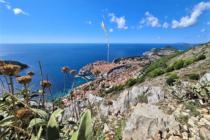 Dubrovnik Panoramic Sightseeing Tour with Guide (minivan) - Why seeing Dubrovnik from above matters