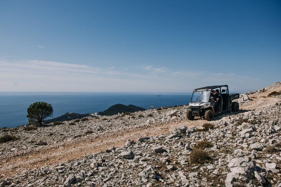 Dubrovnik: Private Panoramic Half-Day Buggy Tour with Brunch - The olive tree road to Ljubac