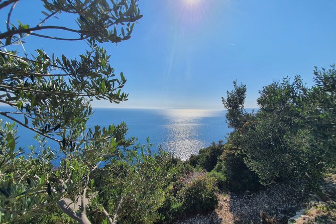 Dubrovnik Private Wine Tasting Tour to Peljesac Peninsula - Majkovi delivers the first great view